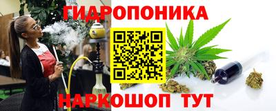 ешки Кингисепп