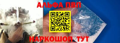 ешки Кингисепп