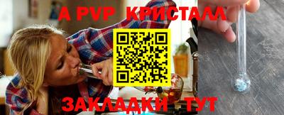 ешки Кингисепп