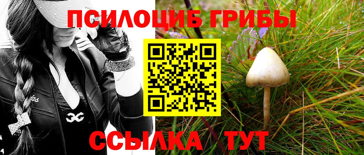 Галлюциногенные грибы мицелий Кузнецк